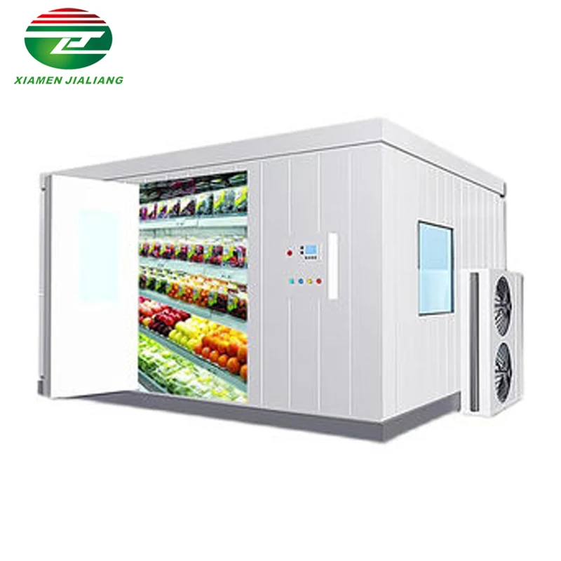 Reliable Performance Portable Commercial Ice Cream Cold Room Food Cold Storage Room Cold Room for Ice Storage