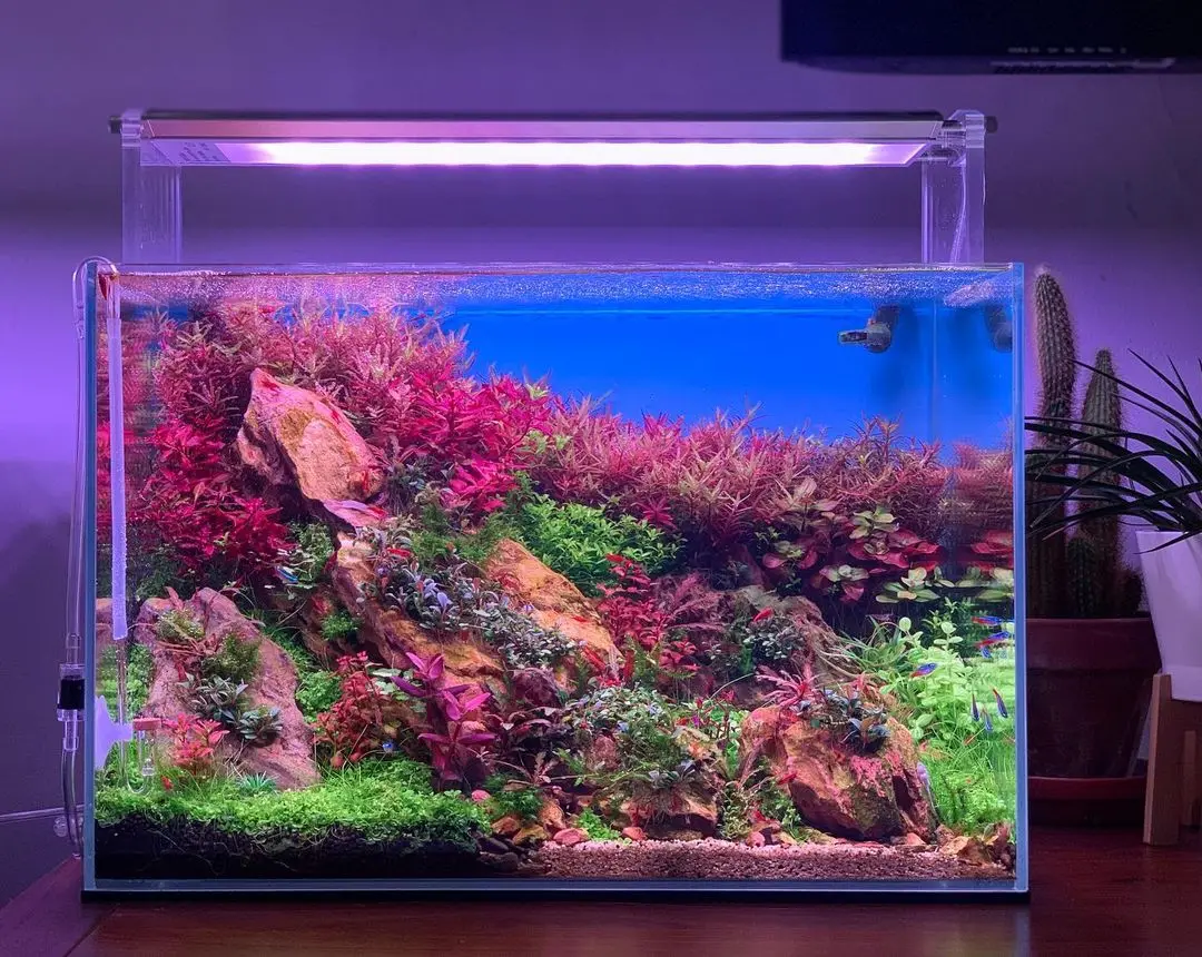 Аквариумный светодиодный светильник высокого качества Аква wrgb RGB UV 3 фута освещение для аквариума роста