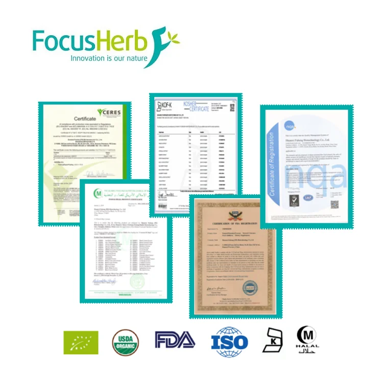 
factory supply pure natural food colorant Sodium Magnesium Chlorophyllin,sodium copper chlorophyllin 