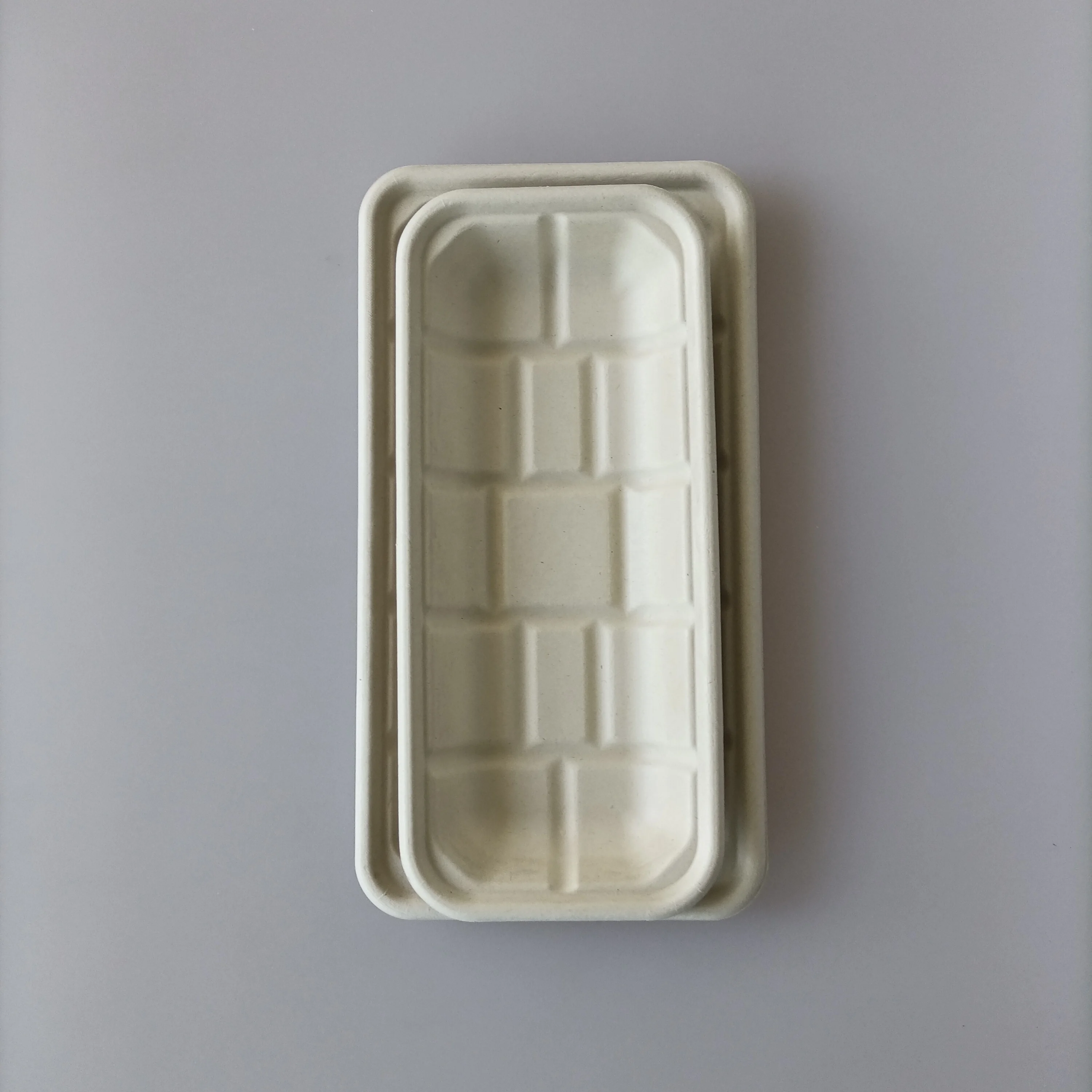 10Inch Hollowware Tableware Disposable Bbq Fast Food Rectangular Shaped Trays Serving Supermarket Meat Tray