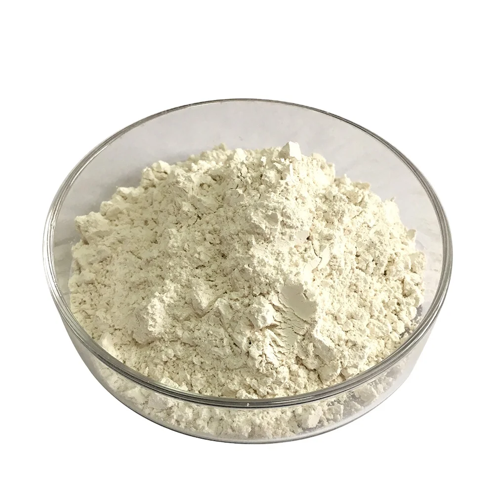 Factory supply bacillus mucilaginosus potassium Silicate bacteria bacillus mucilaginosus