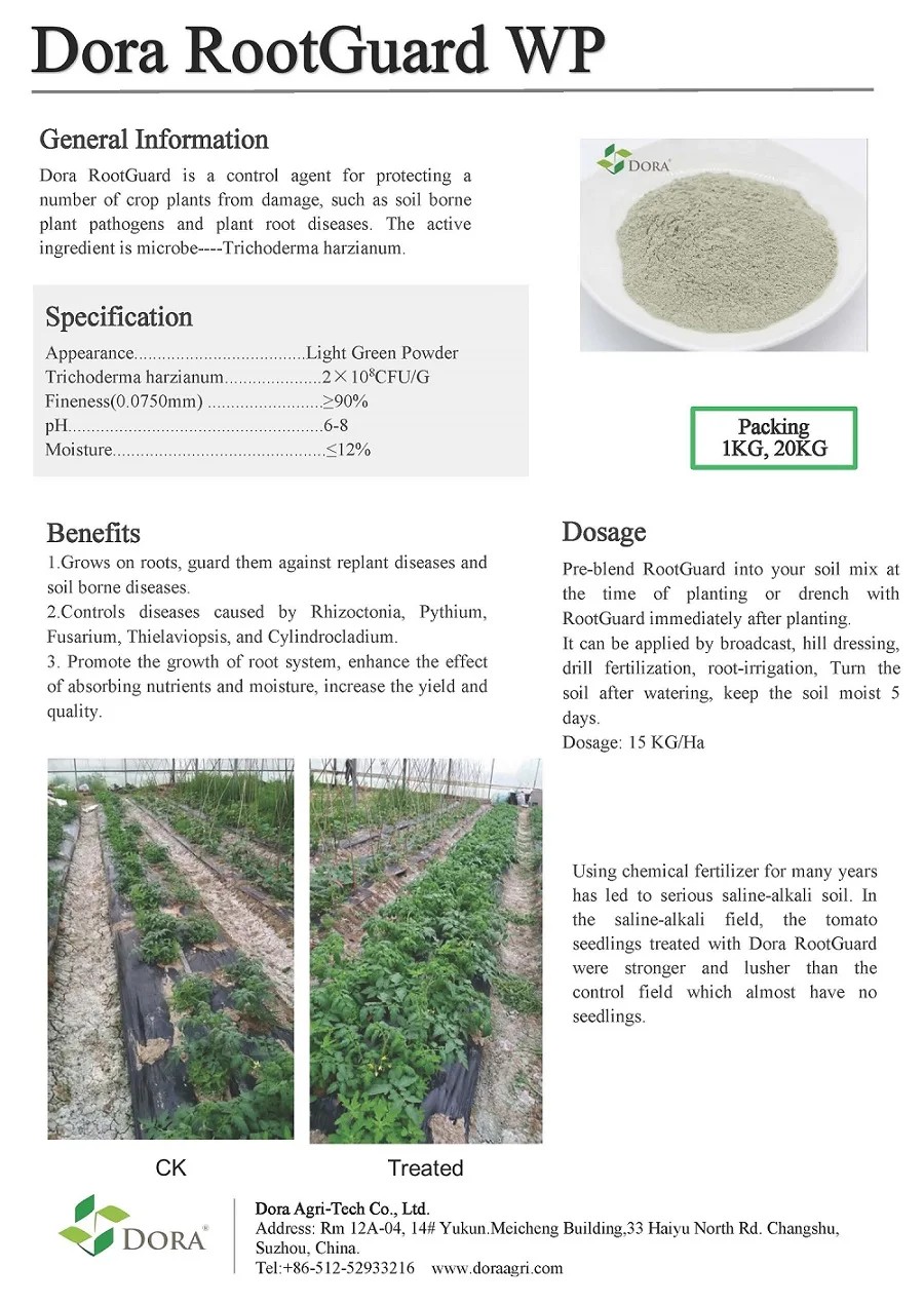 1.dora-rootguard20(1)