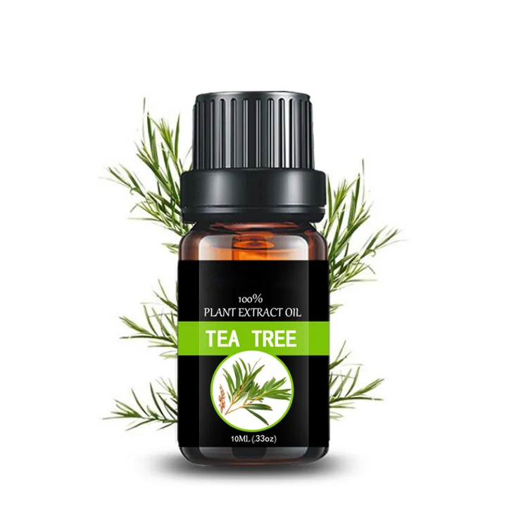 shampoo Daily Flavor Food Flavor diffuser oil tea tree oil Cajeput Melaleuca Oil