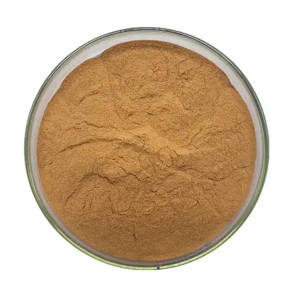 Natural Polysaccharide 30% Enoki Mushroom Extract
