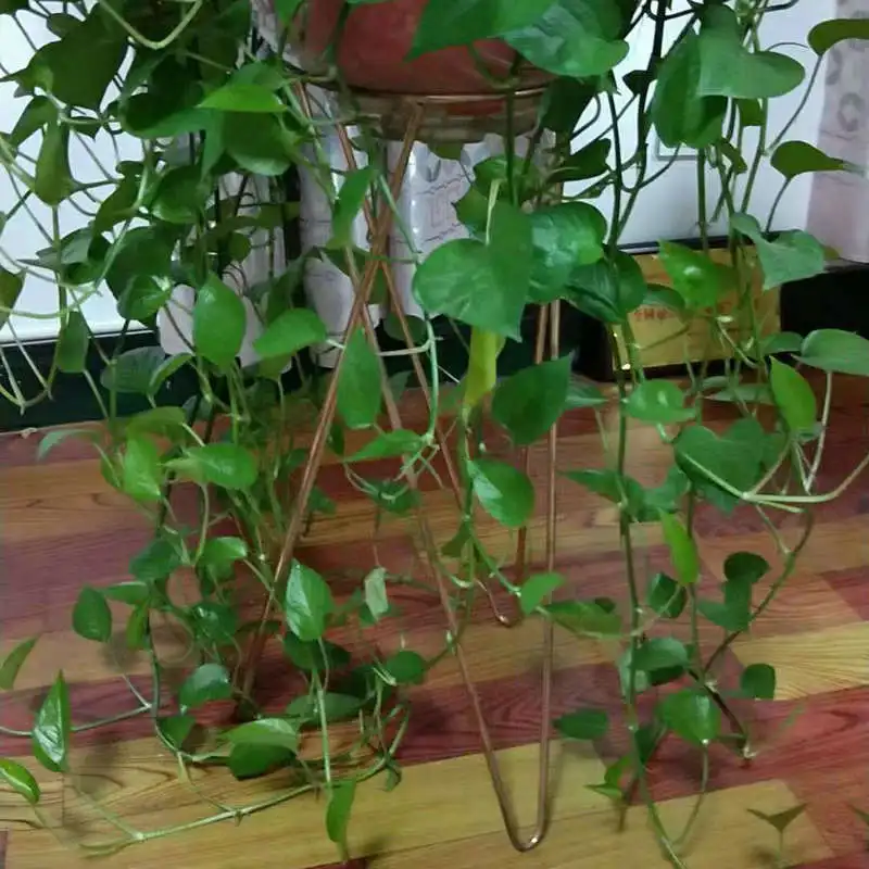 Green Plant Iron Pot Home Decoration Design Iron Flower Stand Metal Flower Pot Flower Bucket Hotel Wedding Decoration