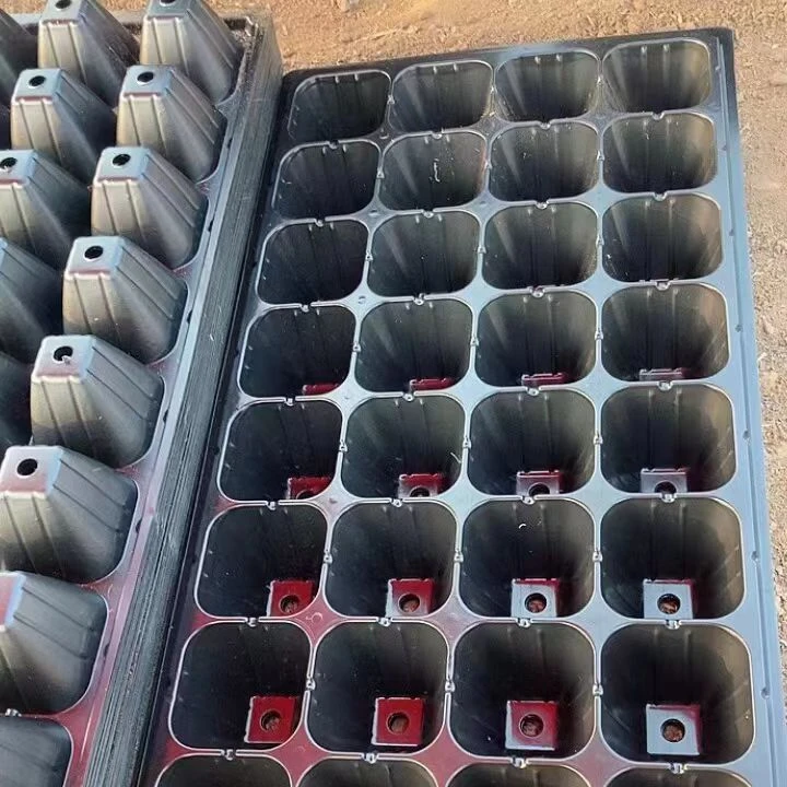 Hot Sale seedling trays plastic nursery seedling tray 200 cell for growing seedlings
