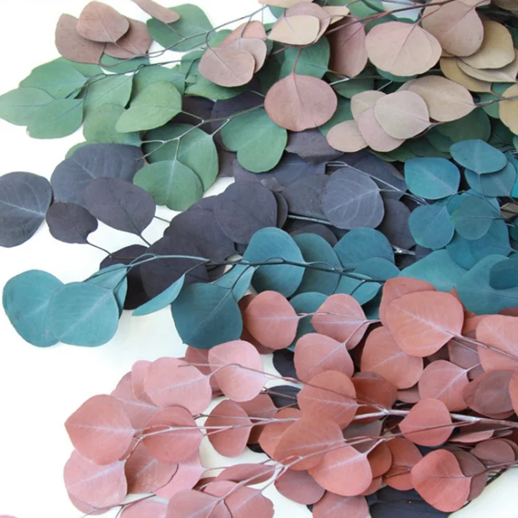 Customized Dried Eucalyptus Leaves Brown Flower Bouquet Plants Single Stem Preserved Eucalyptus For Wedding Decoration
