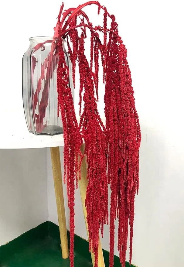 Natural Preserved amaranthus,  long string grains flower for wedding wall hanging decoration