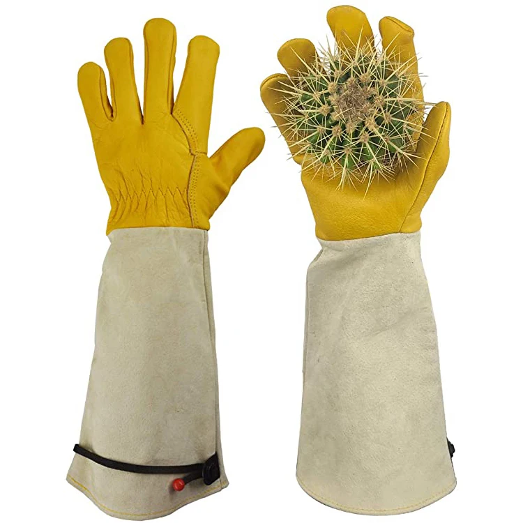 Heavy Duty Leather durable thornproof good dexterity rose pruning cacti handling thorn proof gardening cactus gloves