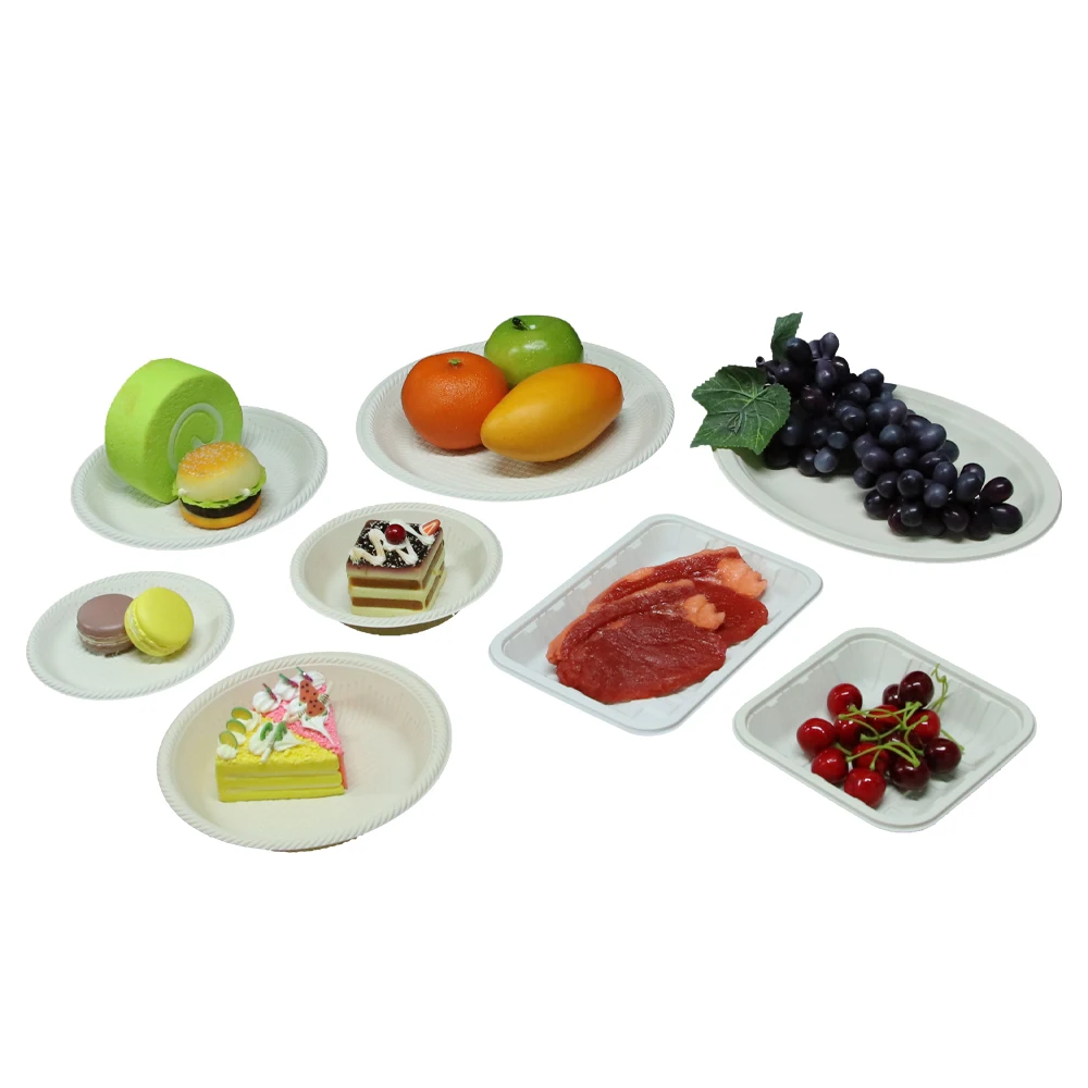 High Quality Custom Luxury Designs Biodegradable hot resistance Food Packaging Suppliers corn starch tray container