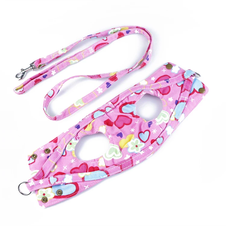 Manufacturer Wholesale Outdoor Adjustable Custom Dog Leash and Harness Set