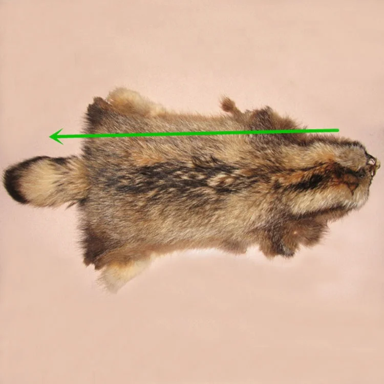 XJ  Wholesale High Quality Super Soft Fluffy Large Natural Animal Pelt Real Raccoon Fur skin