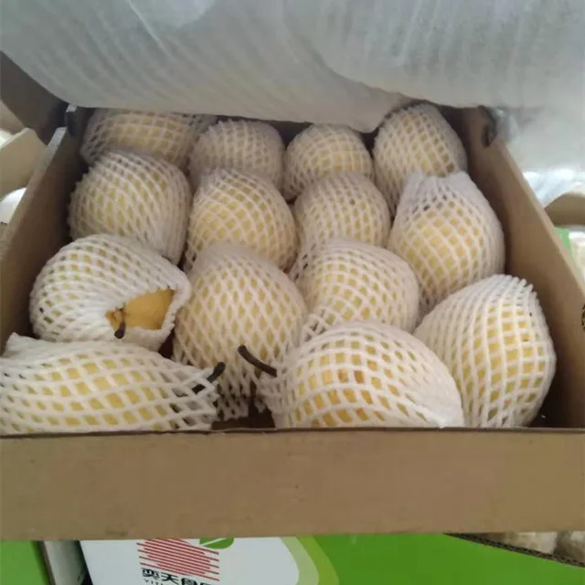 fresh pear new crop of china 2021 fresh Ya pear/ fresj Su pear /Golden pear