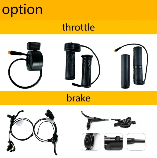 2024 Trending 48v Rear Motor Electric Bike Conversion Kit 36v Lithium Battery Ebike LCD Display Cheap Price One Wheel Kit