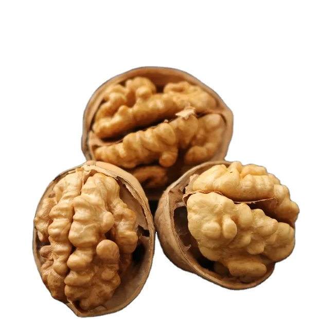 Wholesale a Large Hight Quality Organic Walnuts and Walnut Kernels Halves From Xinjiang
