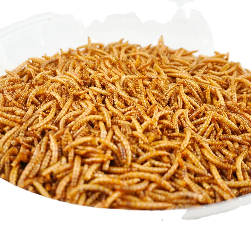 Wholesale High Quality Yellow Dried Edible Mealworms,Dried Mealworm Powder