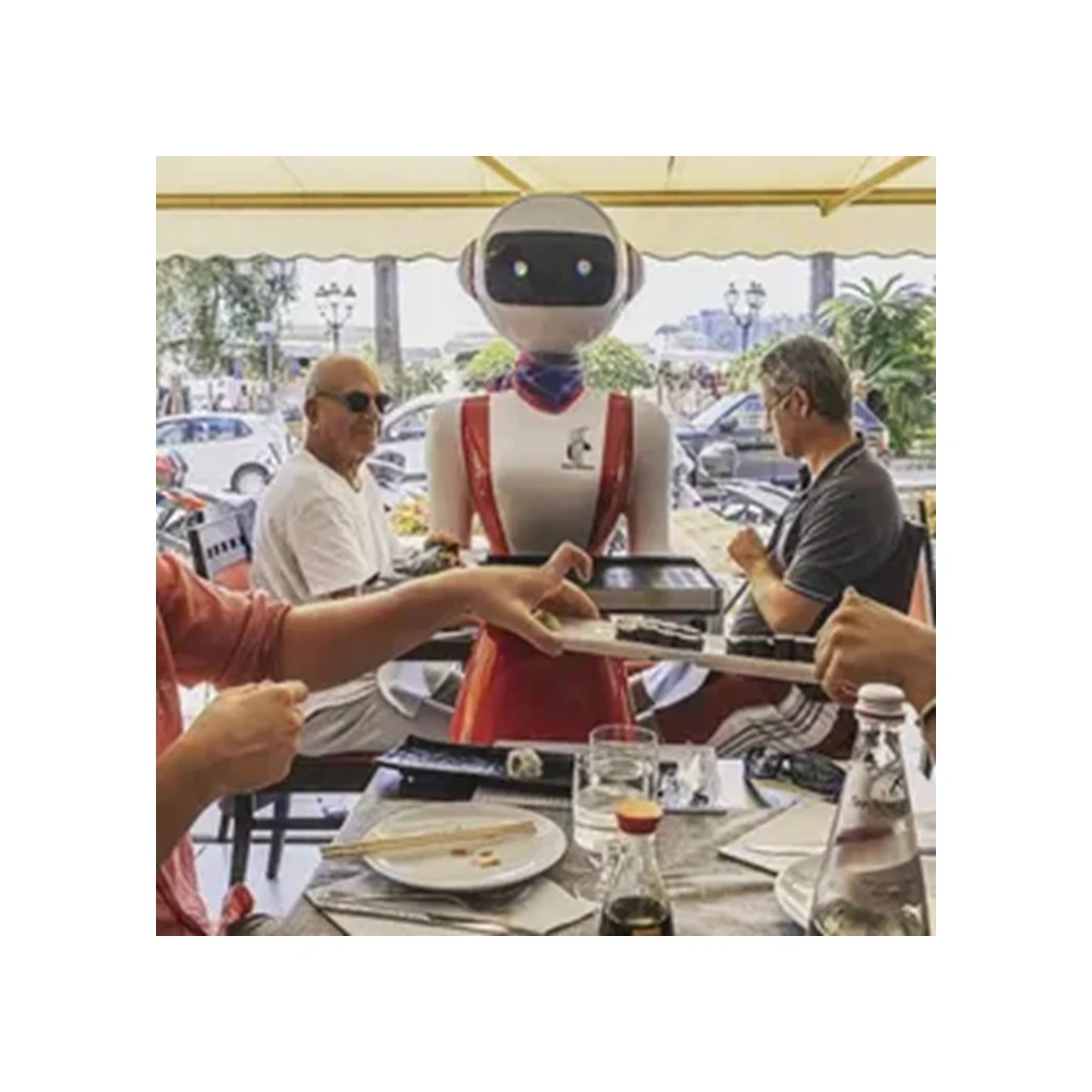 Top Selling Smart Delivery Robot / Robot Waiter For Restaurant / Robots Humanoids Smart Intelligent