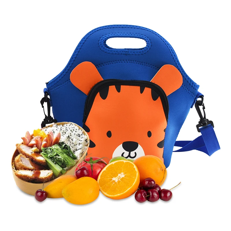 Insulated Travel Cooler Bag Lunch Picnic Tote Bag for Kids and Women