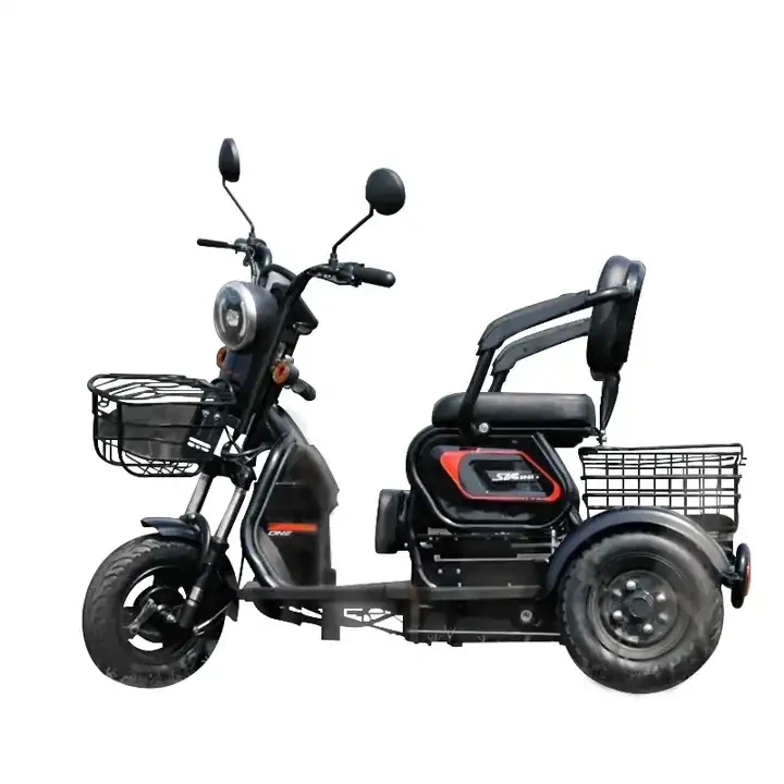 Factory Direct 600W Power 60V20Ah 3-Wheel Adult Electric Pedicab Cheap Passenger Cargo Tricycle Transportation Popular Pedicab