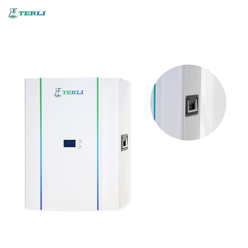 Terli Powerwall 48V 5Kwh 10Kwh Batterie Fotovoltaico Agli Ioni Di Litio Lifepo4 Energy Storage Lithium Ion Batteries