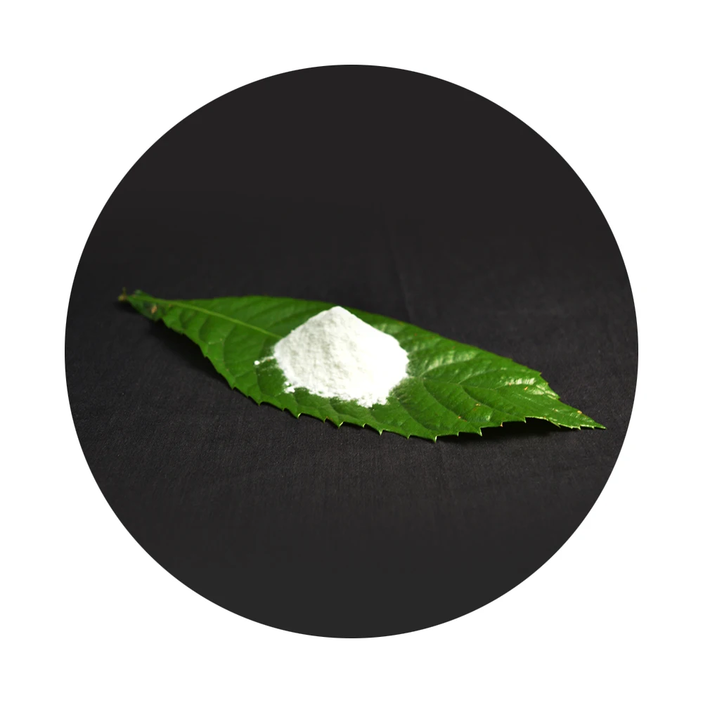 Hpmc Manufacturer Hydroxypropyl Methyl Cellulose Made In China Raw Materials For Detergent Powder Making