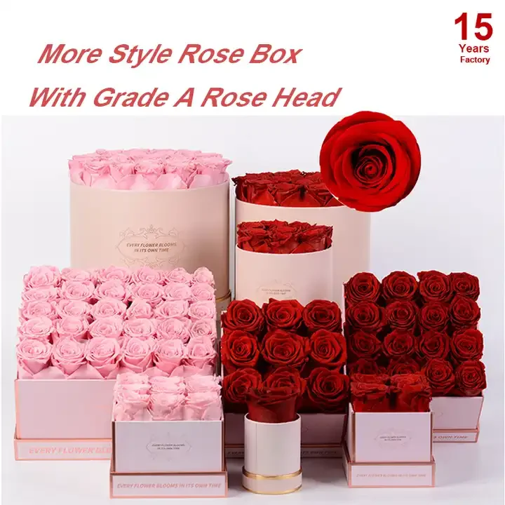 Gold Supplier Custom Everlasting Rosas In Black White Box 16pcs Immortal Eternal Preserved Roses In Square Gift Box