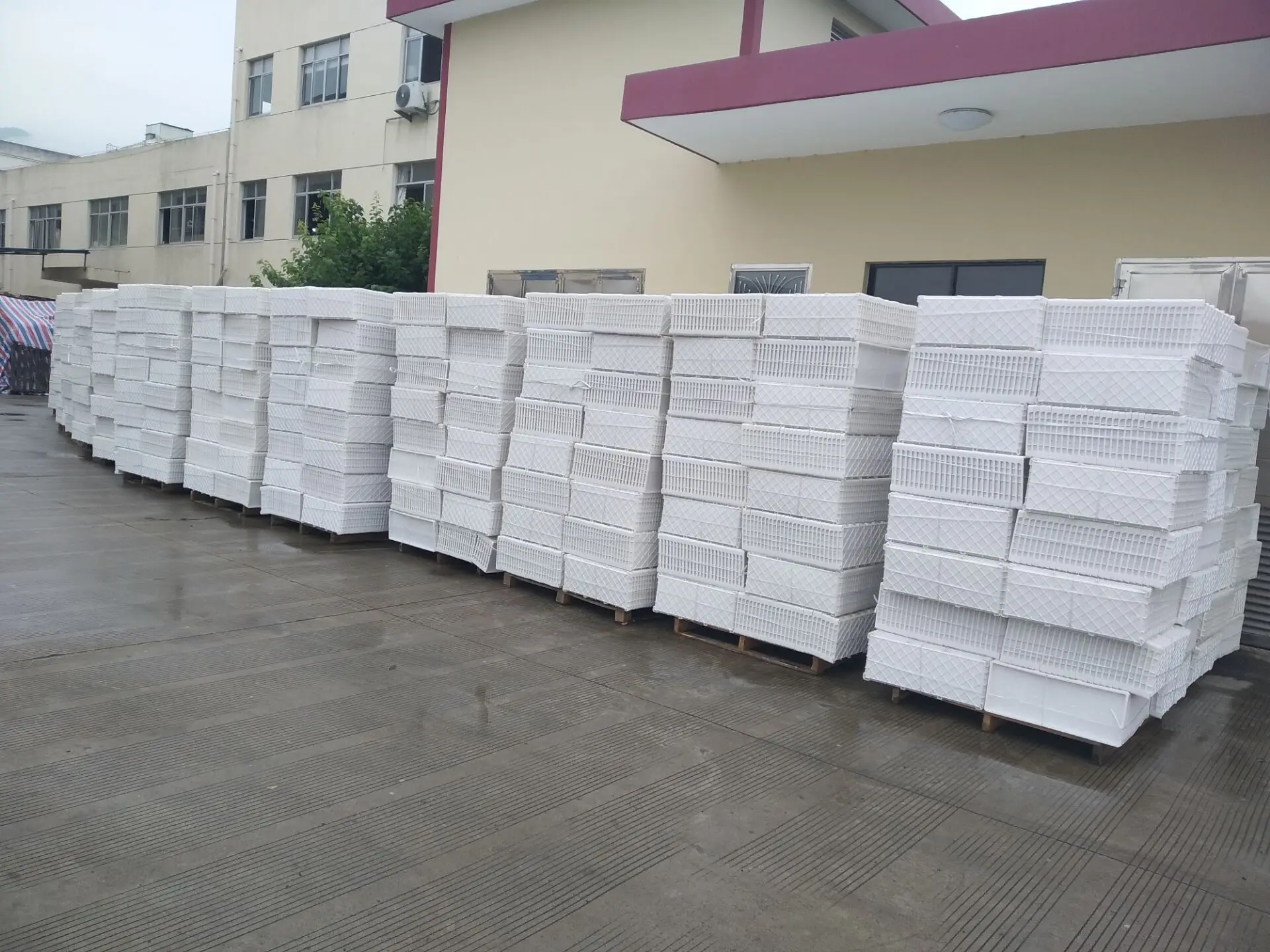 Wholesale and Retail 60*30*3.5cm large plant tray Color can be customized plastic rice nursery seed tray