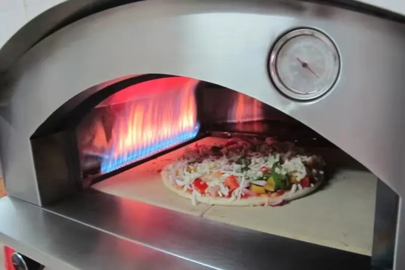 Outdoor Kitchen BBQ Gas Grills Tool Sets Commercial Grill Machine Pizza Oven Gas Grill BBQ P6004D