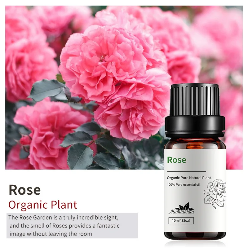 10ml Premium Grade Natural Organic Essential Oils Jasmine Fragrance Family Skin Care Aroma Massage Bulk Pure Oils 0.33oz