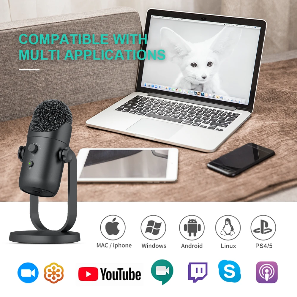 Dingzhi Microphone wired computer desktop notebook online class karaoke microphone recording dubbing game Microphone