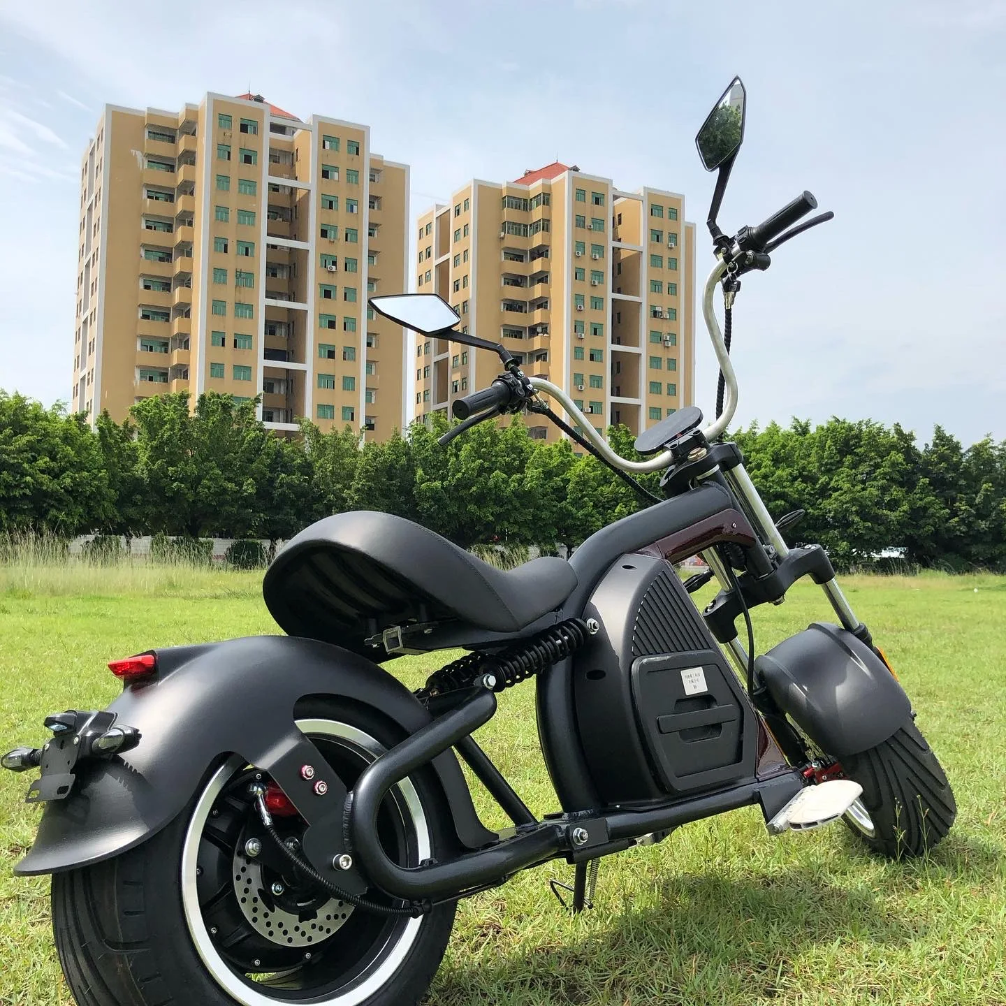 Hot Selling electric scooter M8 in warehouse Adult Lithium Battery 60V 20Ah citycoco 2000w citycoco