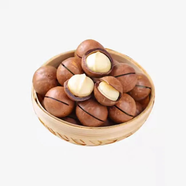 2021 большие ежедневные орехи, вкусные ручные очищенные орехи макадамии, Лидер продаж