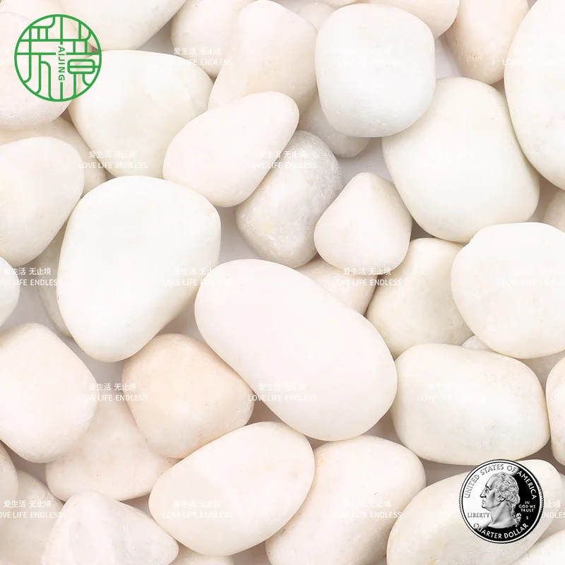 Custom logo fine glossy fish tank pebble river stone landscaping pebbles tumble snow white chinese supplier