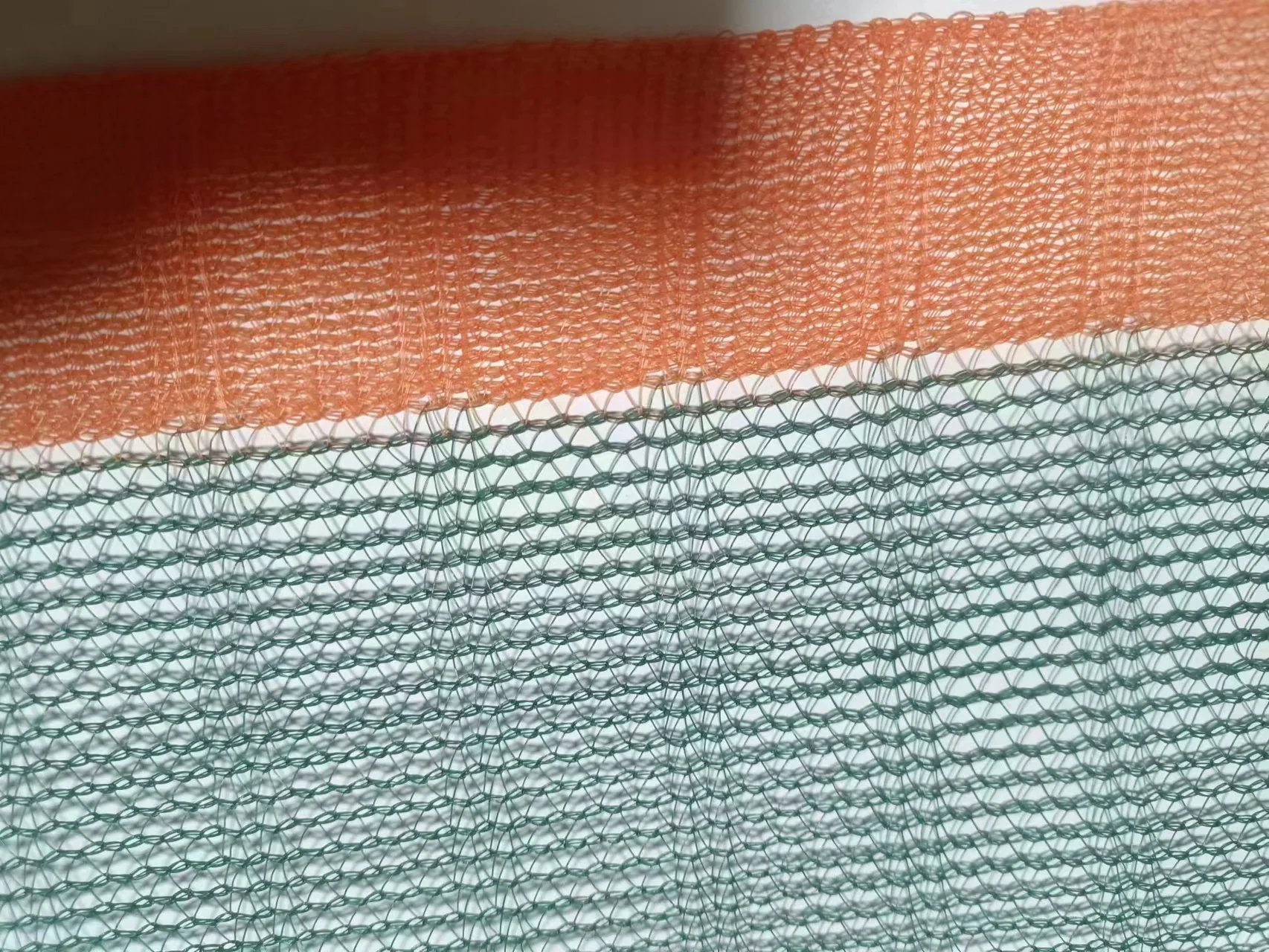 for fruit olive fruit walnut dark green olive net