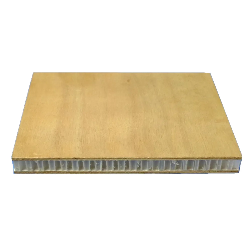 Moisture Proof strong light weight Plastic honeycomb sandwich sheet  for mobile plank house Bathroom