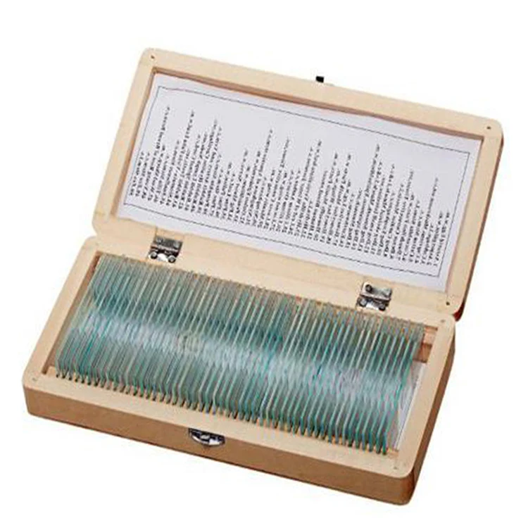  50pcs Middle School Education Used Prepared Glass Microscope Slides Set For Student Science