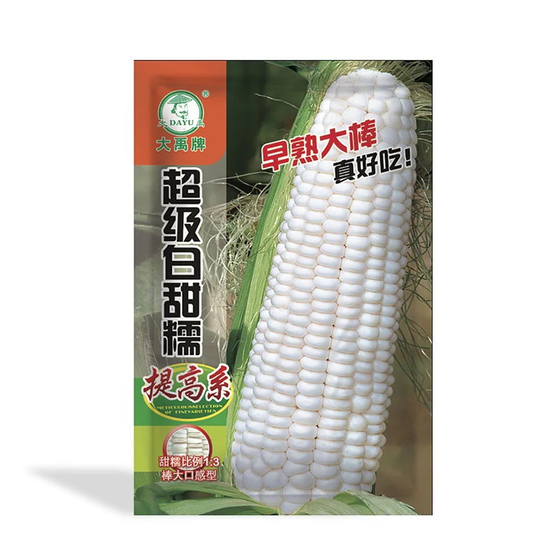 
China Quality Manufacturer white sweet waxy corn seed for sale 