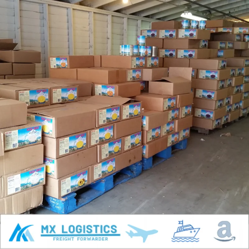 LCL Ocean Cargoes China Forwarder to Singapore Door to Door Good Clearance Lowest Price FCL DDP DDU Professional Free Storage