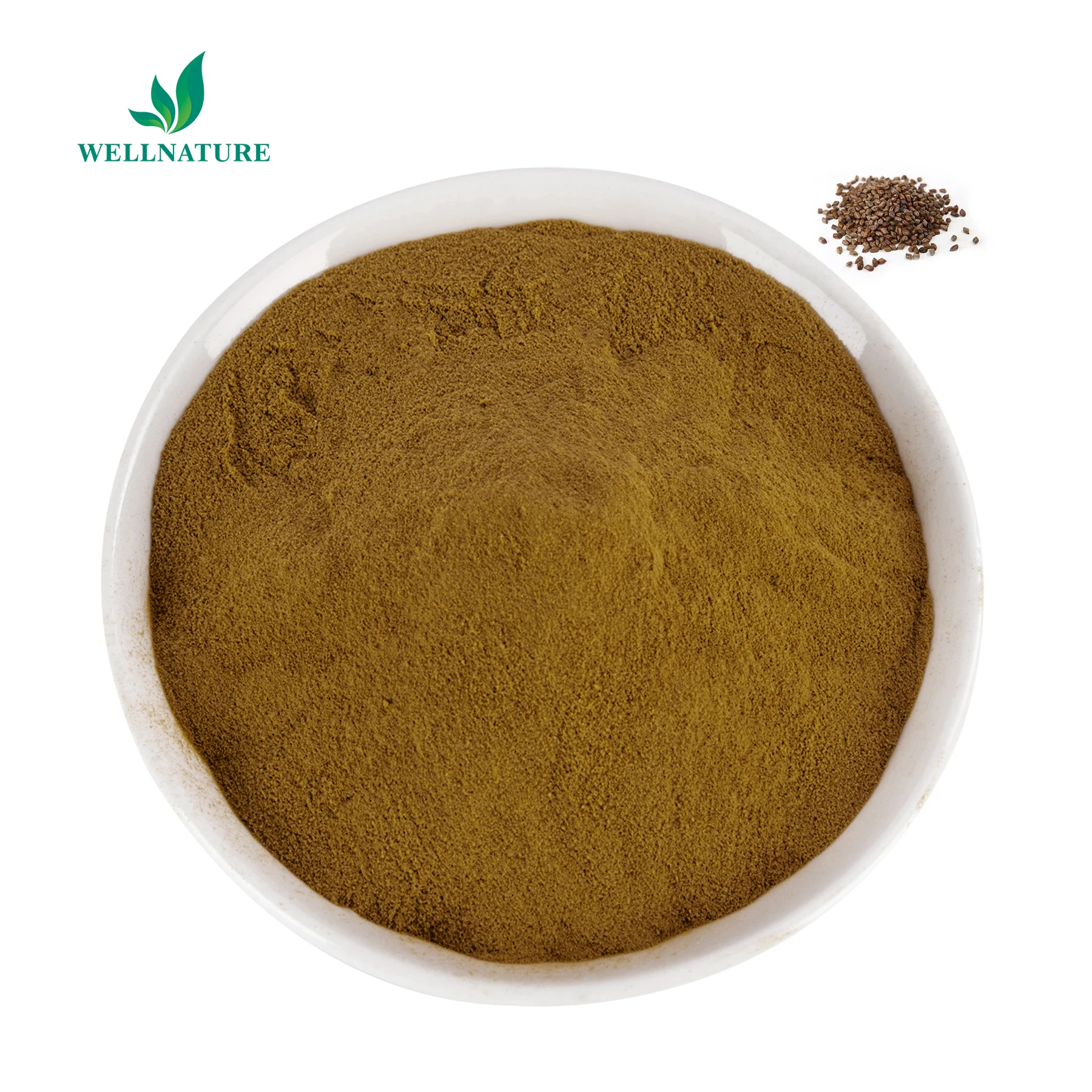 Hot Selling Cassia Seed Extract Powder 4:110:1 20:1 Cassia Semen Seed Extract Anthraquinone Powder for Weight Loss