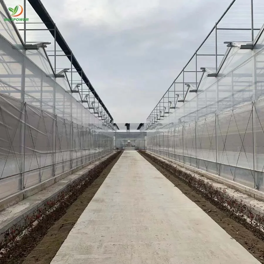 8 12 15 10mm polycarbonate greenhouse multi-span for sale ,tomato ,canabs, blueberry growing