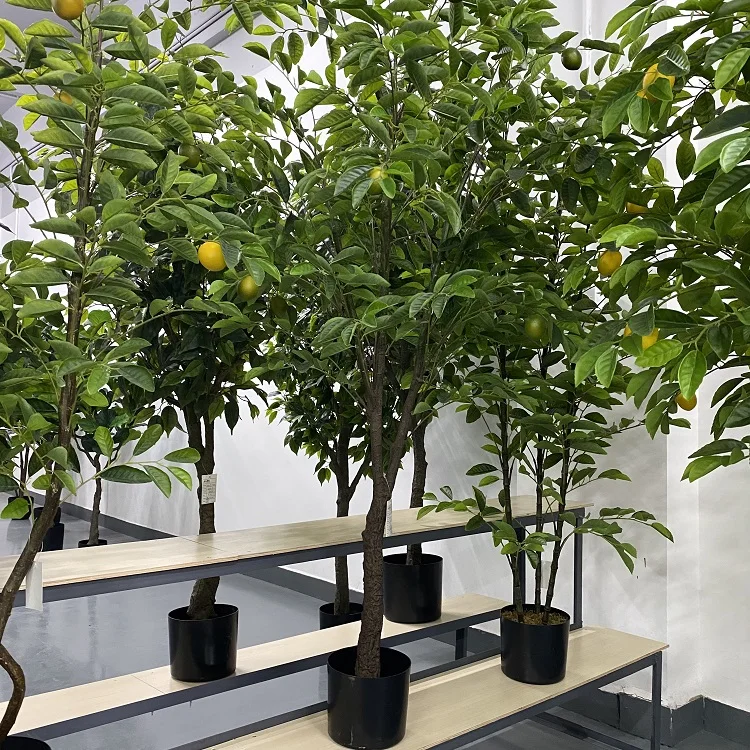 
Top selling highly simulation factory custom stock artificial lemon tree for outdoor decor 