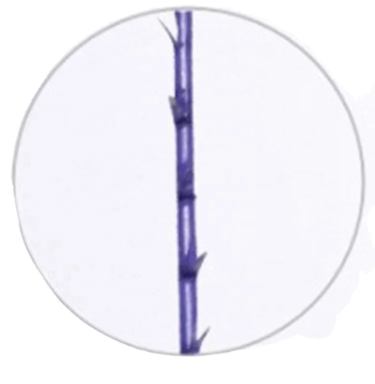 High Quality PDO threads lift mono screw and 4d 6d 8d cog with cannula