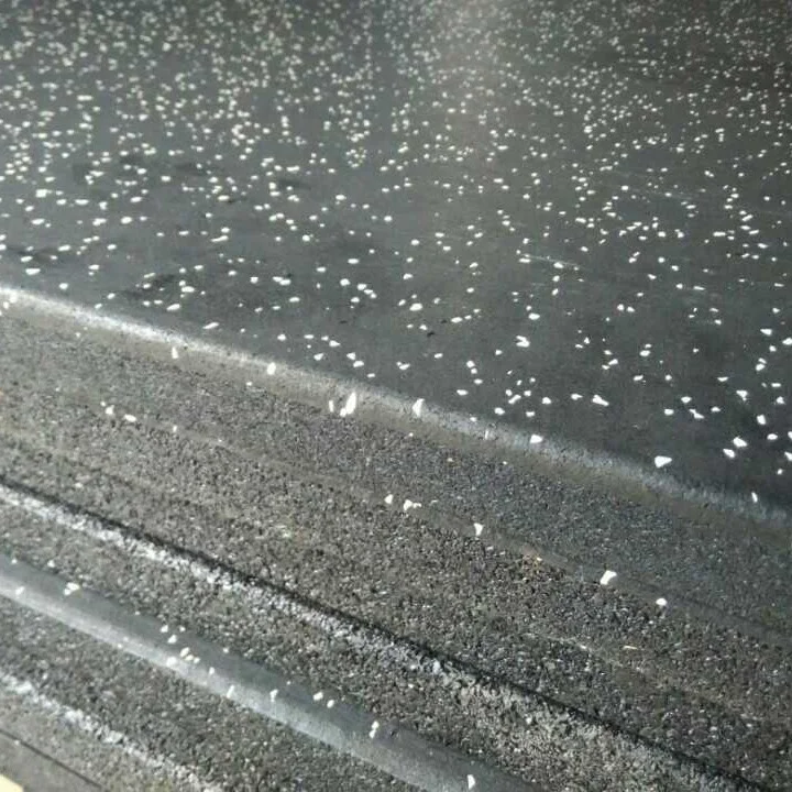 Fitness Equipments Gym Rubber Flooring/Rubber Mats