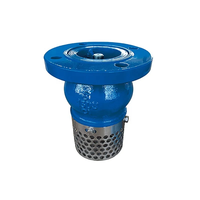 Ductile Iron Foot Valve with Stainless Steel Strainer