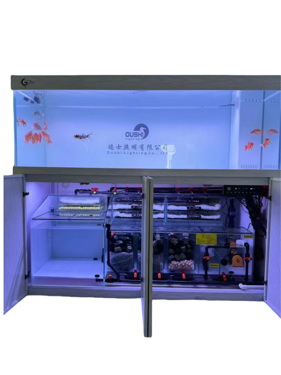 Living Room Large Bottom Filter Dry and Wet Separation Right Overflow Super Platinum Arowana tank Glass Aquarium Fish tank