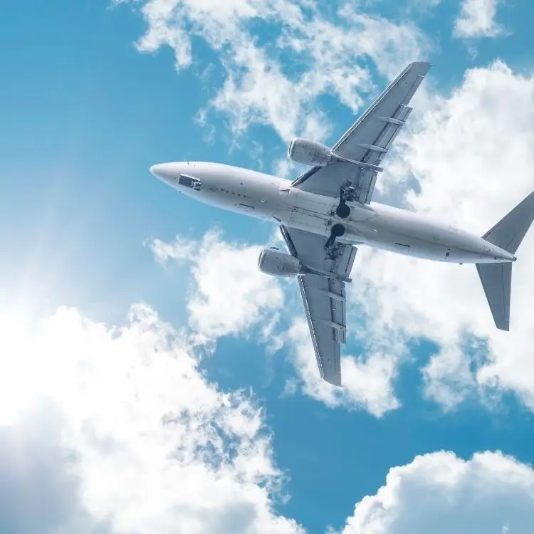 freight forwarder shipping agents china to cameroon southwest region