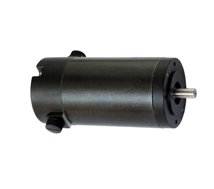 Shopping site chinese online brushes 12v dc generator motor for electric roller