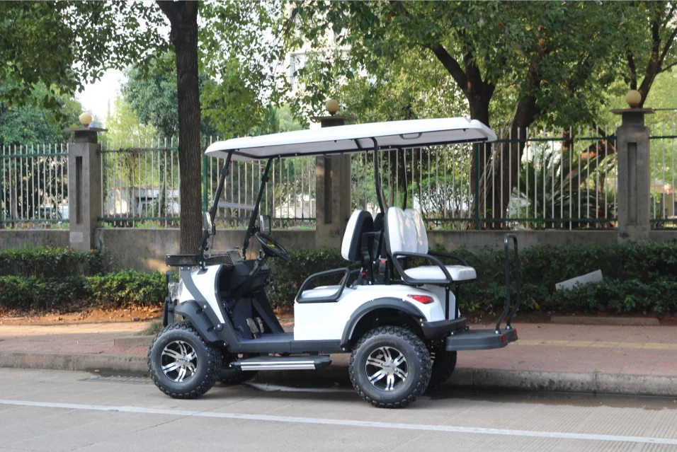 Street Legal Brand New Utility Golf Cart Lithium Battery Buggy Golf Car Electric Golf Carts 4 Seater 3kw CE 220V Kart Car Price