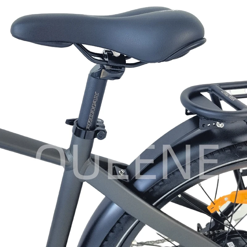 OEM Big Power 2 Wheels Disc Brake Mid Drive Motor Cheap Ebike Electric City Bike With Hydraulic Suspension