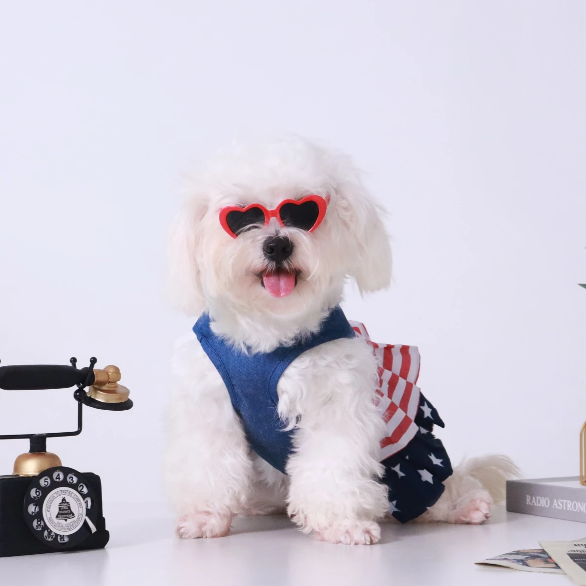 Производитель UFBemo модная дизайнерская летняя одежда небольшого размера американская карта для домашних животных аксессуары плащ собак